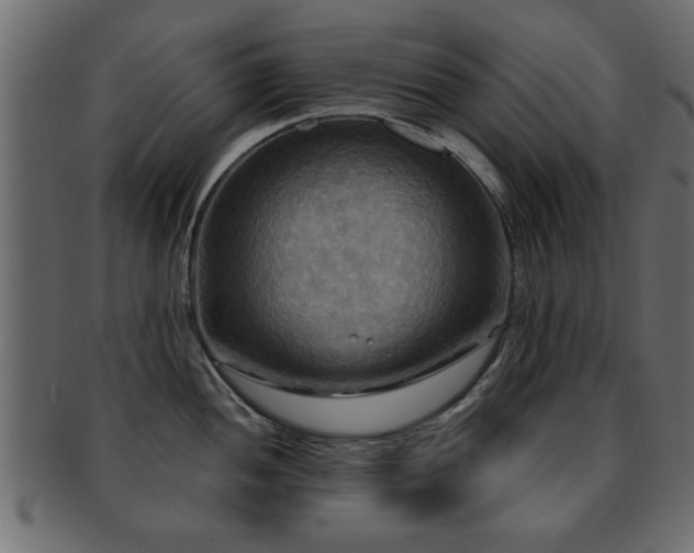 X0000093251052200709261716