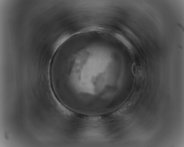 X0000093251055200709261716