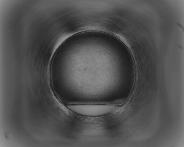 X0000093251056200709261716