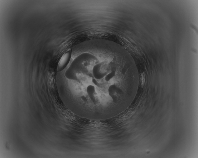 X0000093251059200709261715