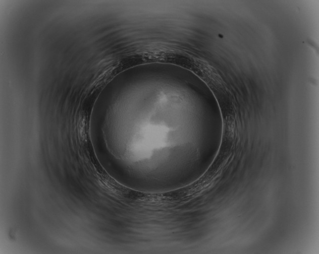 X0000093251060200709261715