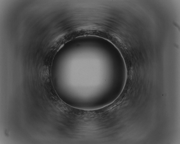 X0000093251062200709261715
