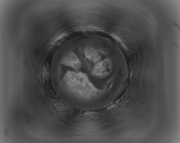 X0000093251063200709261715