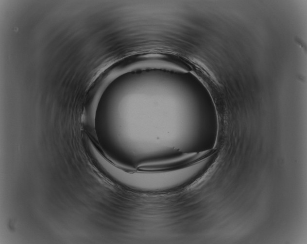 X0000093251065200709261715