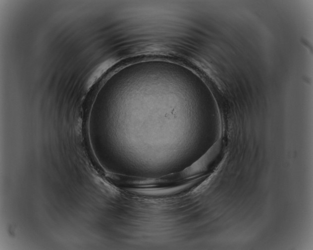 X0000093251066200709261715