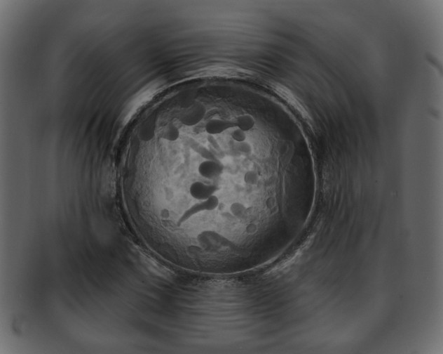 X0000093251067200709261715