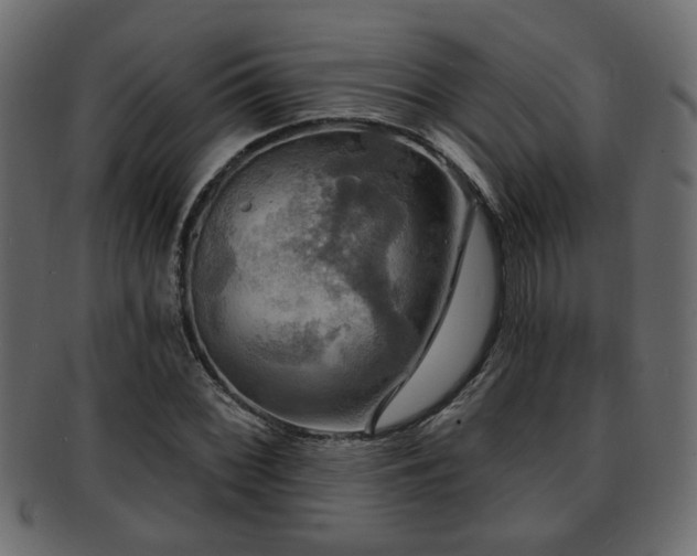 X0000093251068200709261715