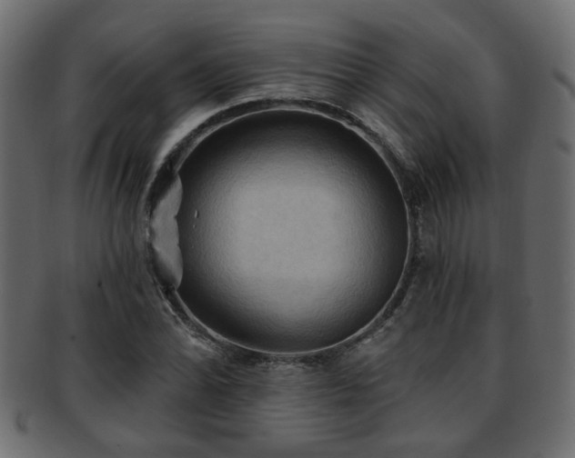 X0000093251070200709261715