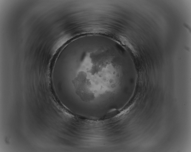 X0000093251071200709261715