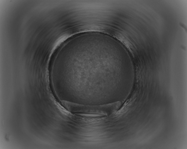 X0000093251072200709261715