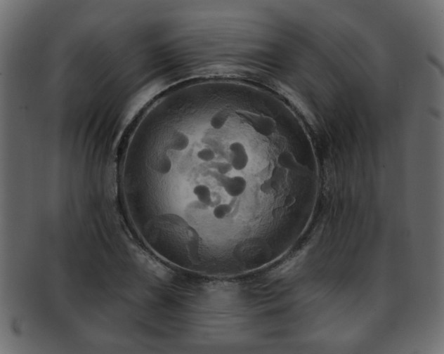 X0000093251075200709261715
