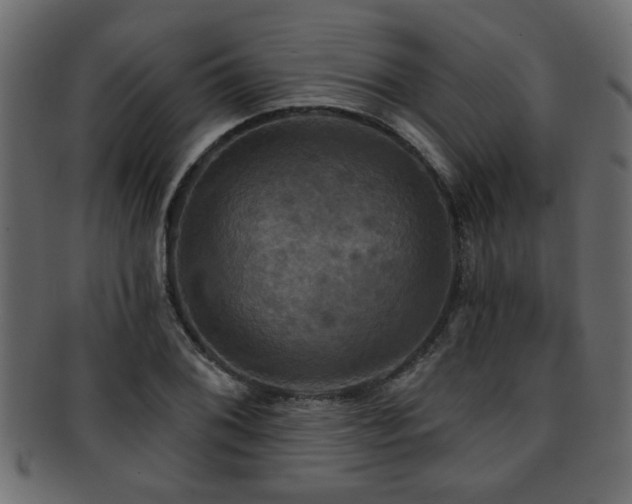 X0000093251076200709261715