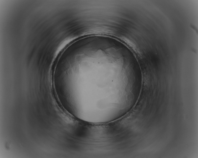 X0000093251078200709261715