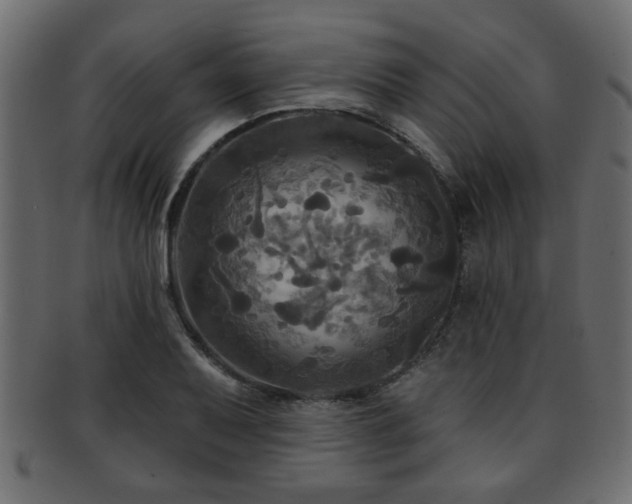 X0000093251079200709261715