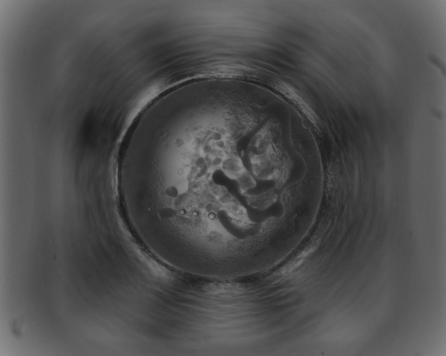 X0000093251083200709261715