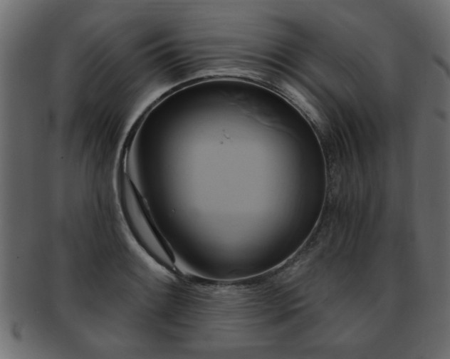 X0000093251084200709261715
