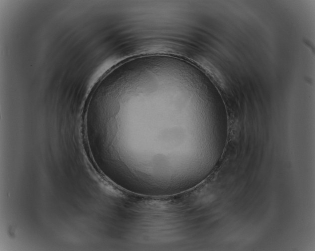 X0000093251086200709261715