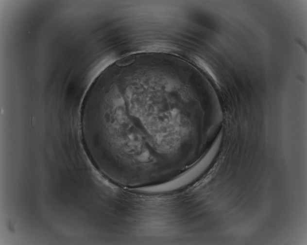 X0000093251087200709261715