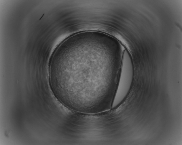 X0000093251088200709261715
