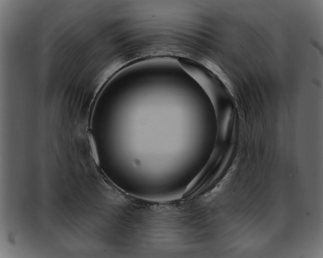 X0000093251089200709261715