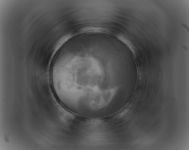 X0000093251090200709261715