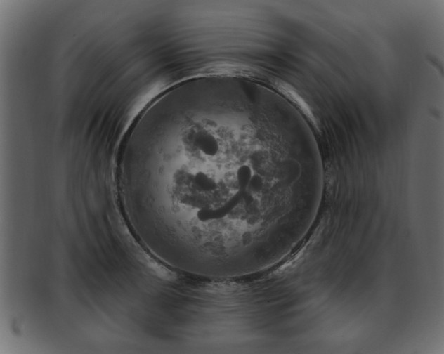X0000093251091200709261715