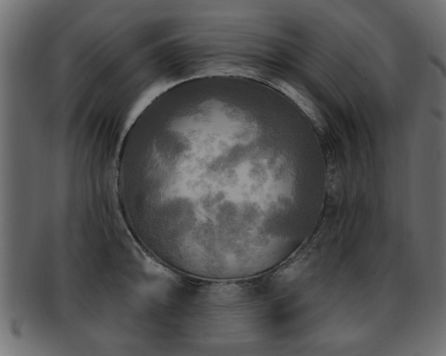X0000093251094200709261715