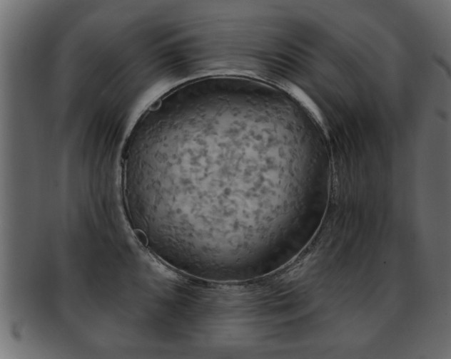X0000093251096200709261715