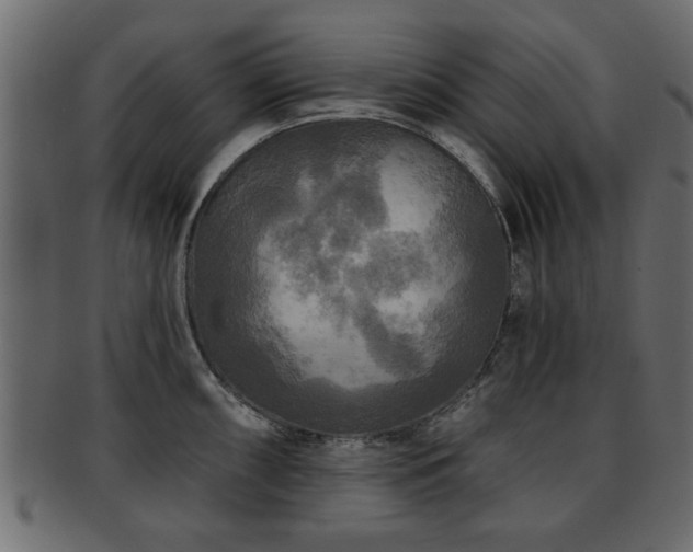 X0000093251098200709261714