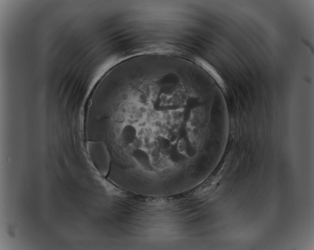 X0000093251099200709261714