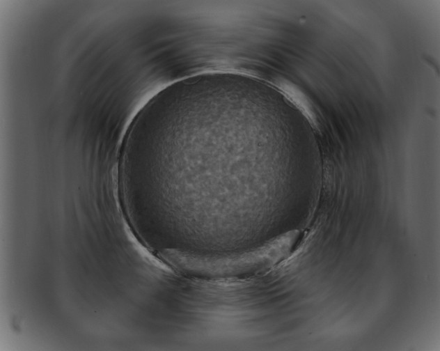 X0000093251100200709261714