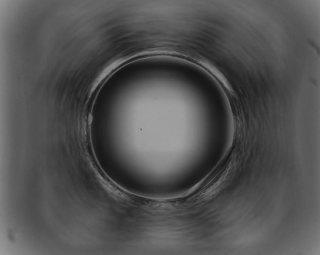 X0000093251101200709261714