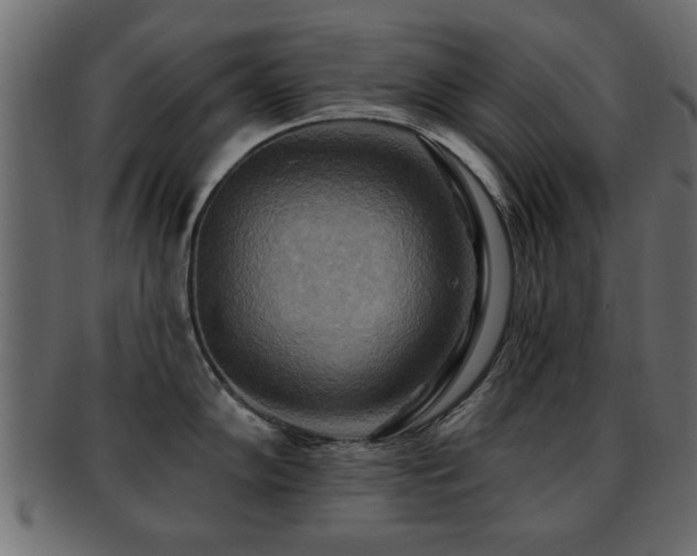 X0000093251102200709261714