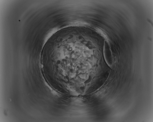 X0000093251103200709261714