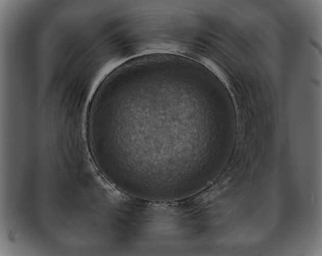 X0000093251104200709261714