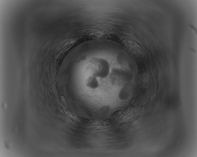 X0000093251105200709261714