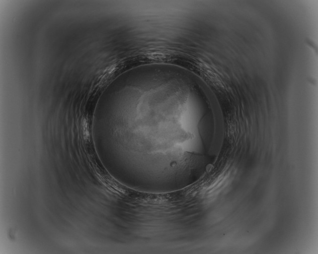 X0000093251106200709261714