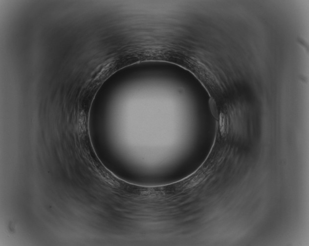 X0000093251107200709261714