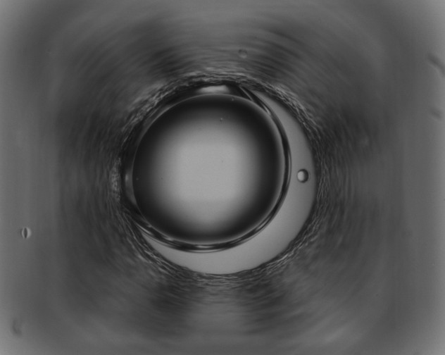 X0000093251110200709261714