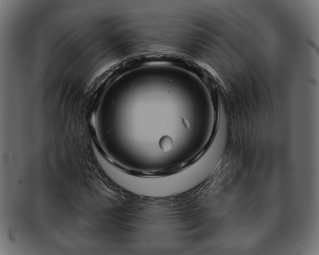 X0000093251112200709261714
