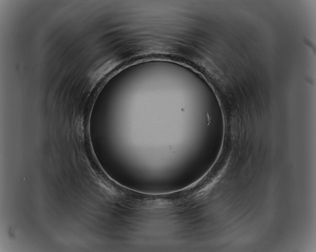 X0000093251113200709261714