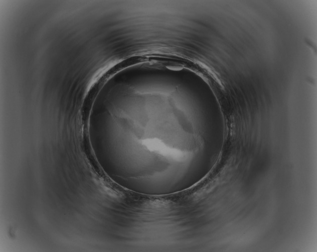 X0000093251117200709261714