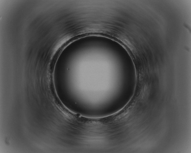 X0000093251119200709261714