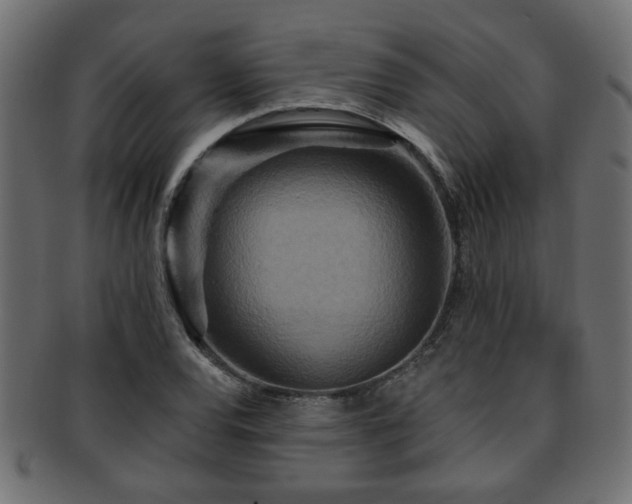 X0000093251120200709261714