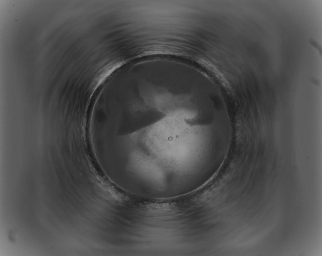 X0000093251121200709261714