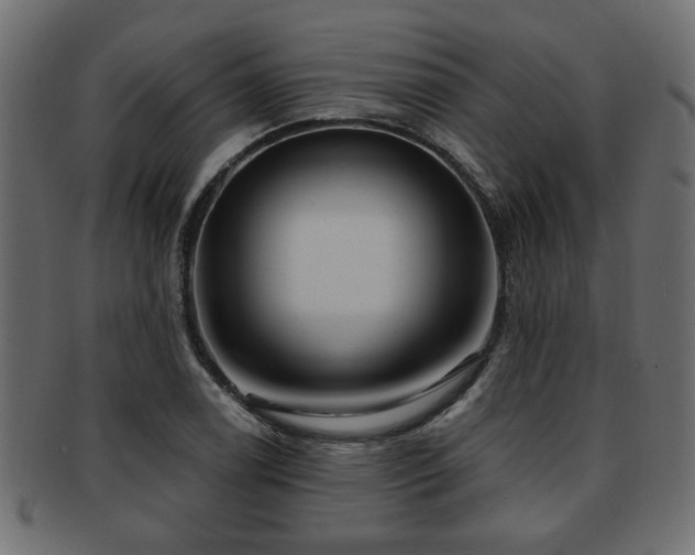 X0000093251122200709261714