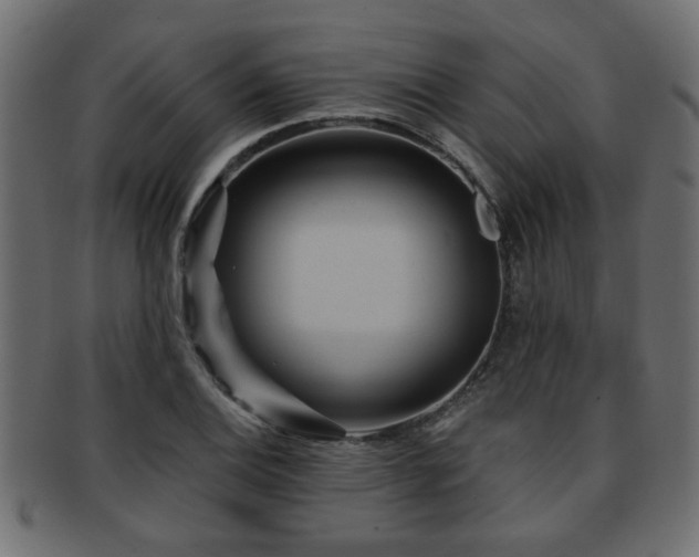 X0000093251124200709261714