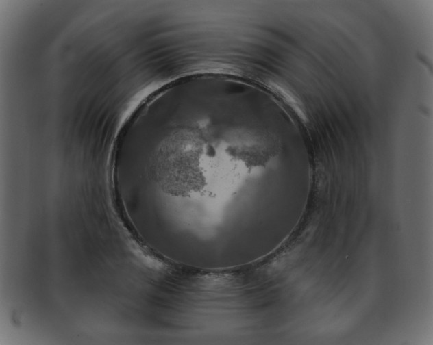 X0000093251125200709261714