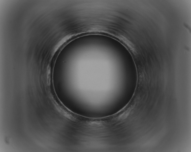 X0000093251126200709261714