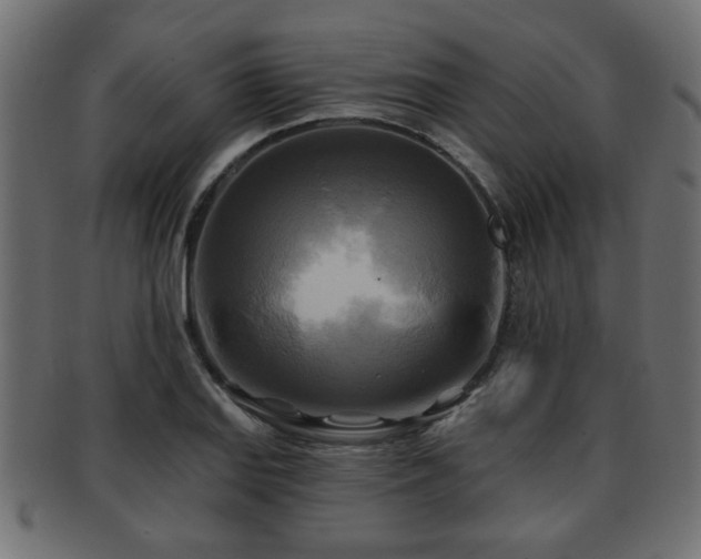 X0000093251127200709261714